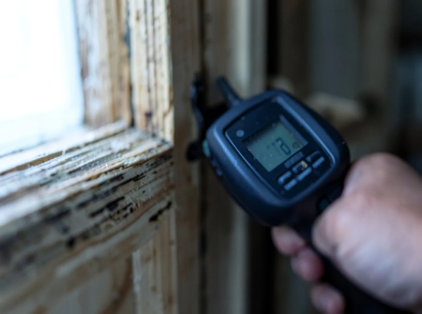 Commercial Water Damage Restoration in Albia, IA